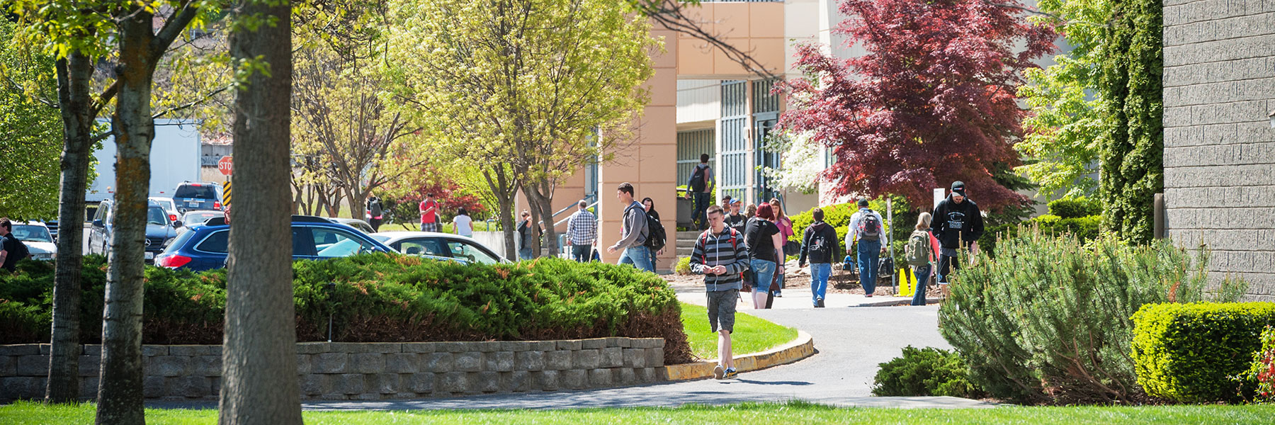 Students walking around outdoors on the SCC campus